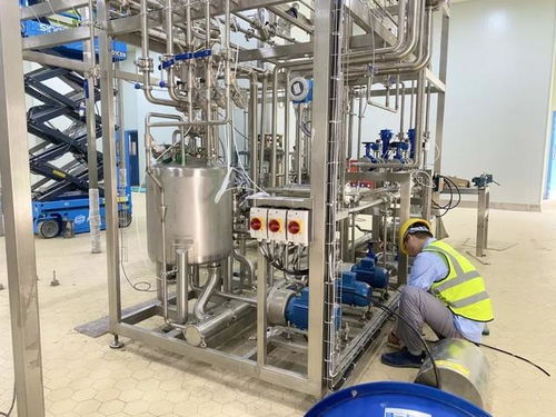 华东最大奶酪加工工厂建成 预计今年底达产产值1.8亿元